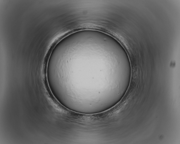 X0000097900987200803281335