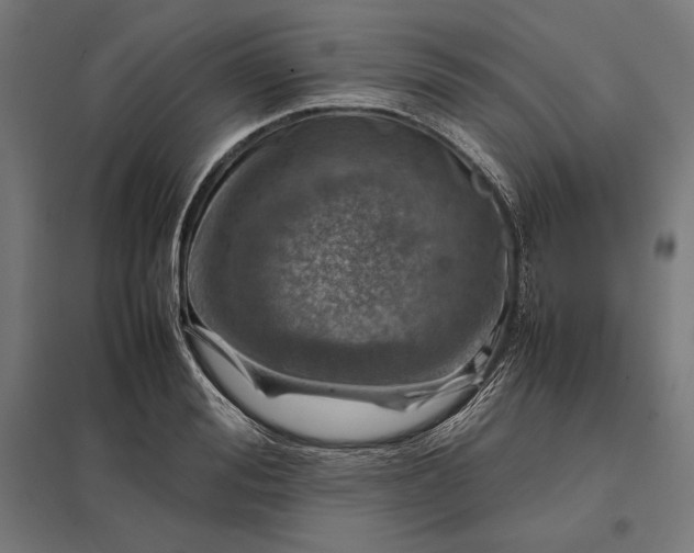 X0000097900988200803281335