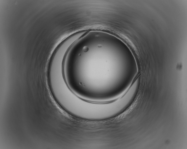 X0000097900989200803281335