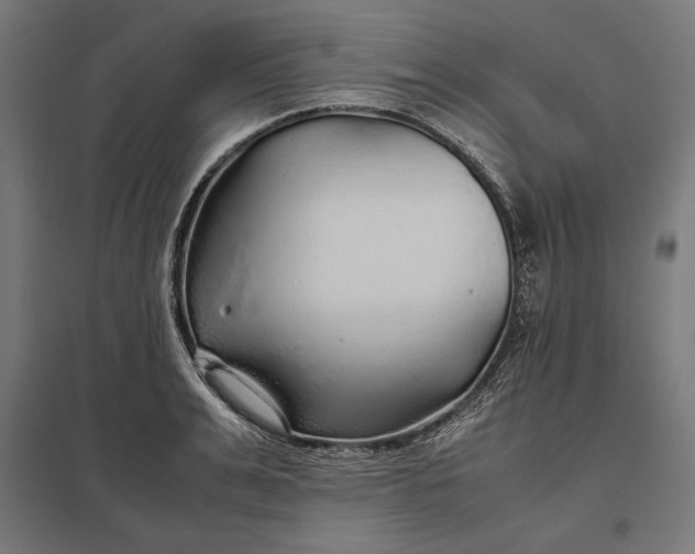 X0000097900991200803281335