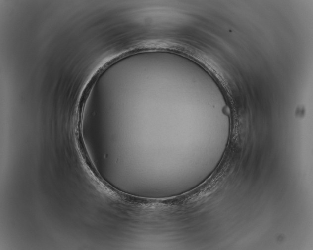 X0000097900992200803281335