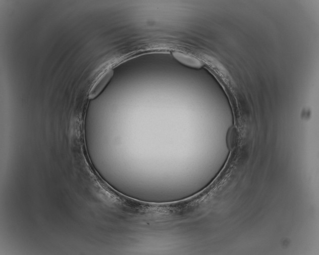 X0000097900993200803281335