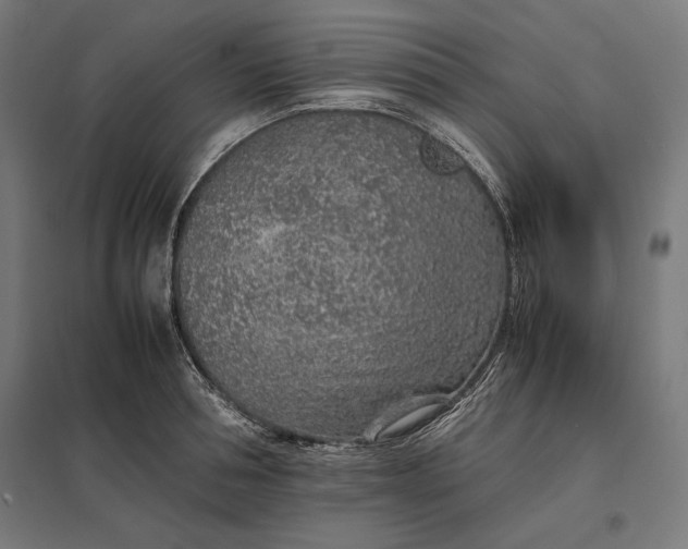 X0000097900994200803281335