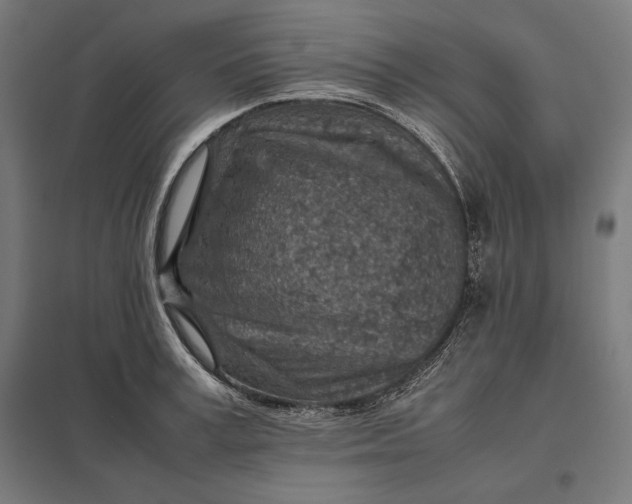 X0000097900995200803281335