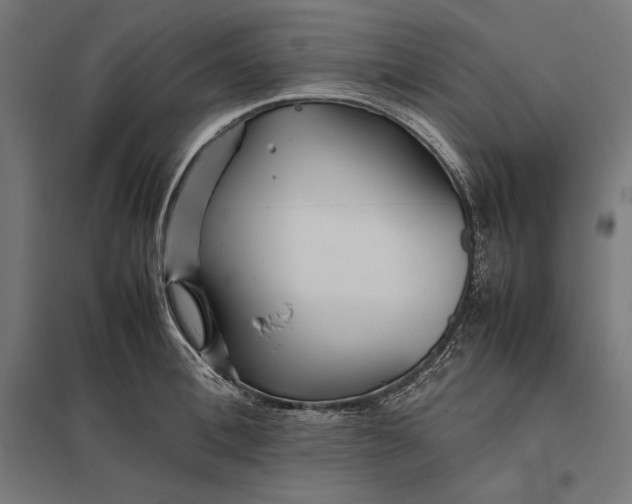 X0000097900996200803281335