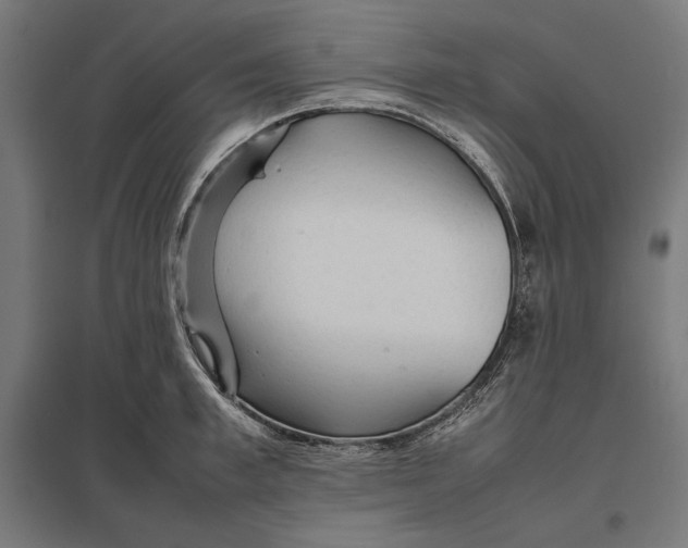 X0000097900997200803281335