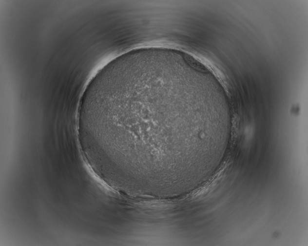 X0000097900998200803281335