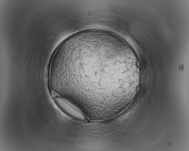 X0000097900999200803281335