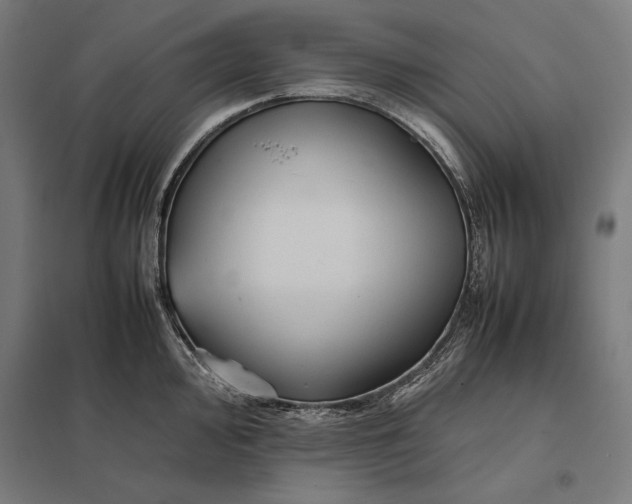 X0000097901000200803281335