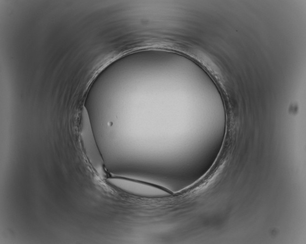 X0000097901001200803281335