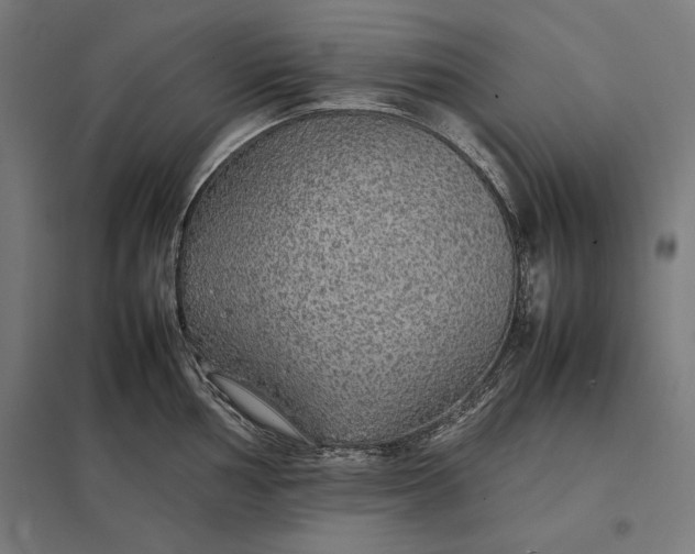 X0000097901002200803281335