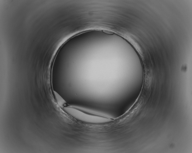 X0000097901004200803281335