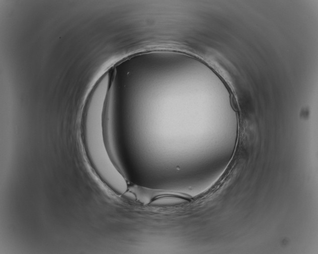 X0000097901005200803281335