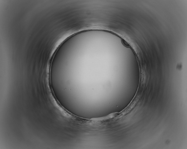 X0000097901006200803281335