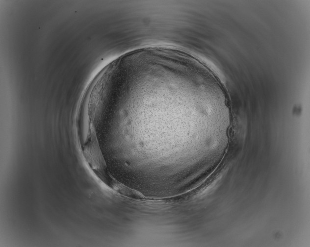 X0000097901007200803281335