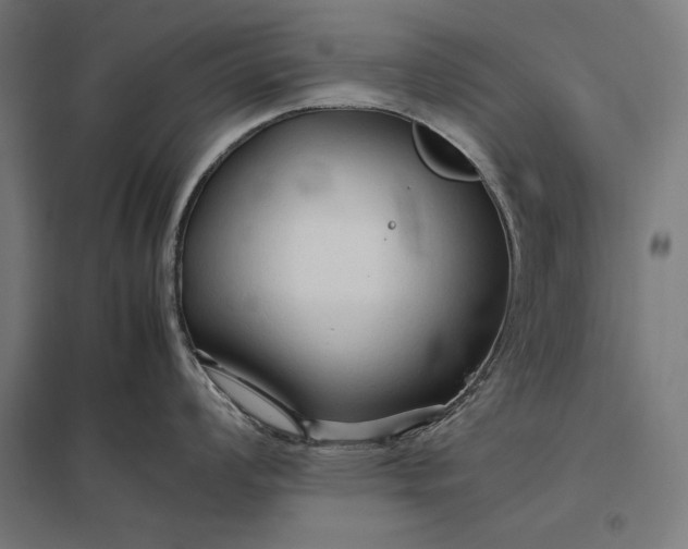 X0000097901008200803281335