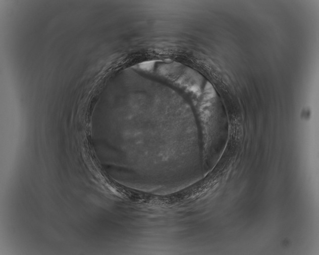 X0000097901009200803281334