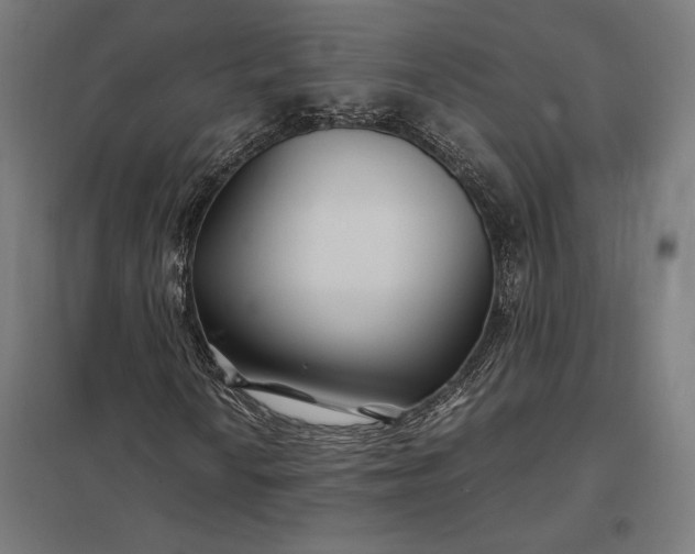 X0000097901010200803281334