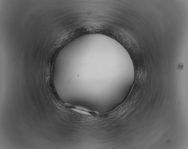 X0000097901012200803281334