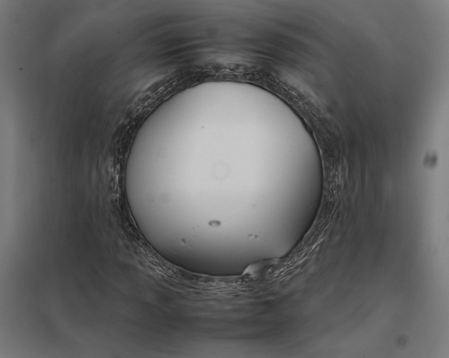 X0000097901013200803281334