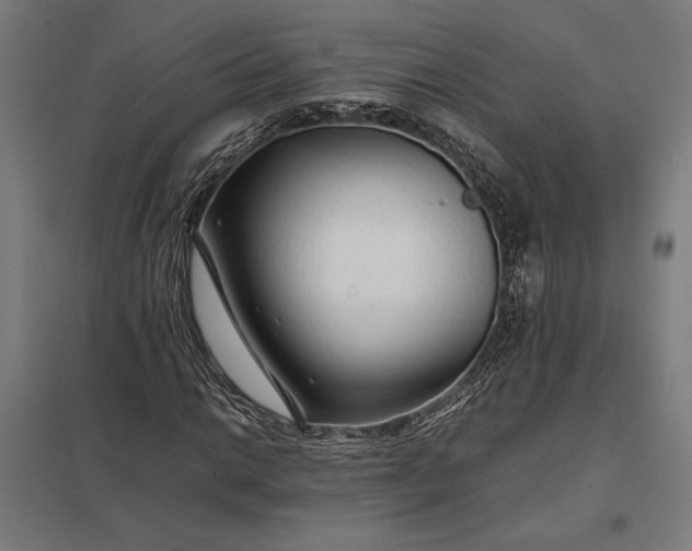 X0000097901014200803281334