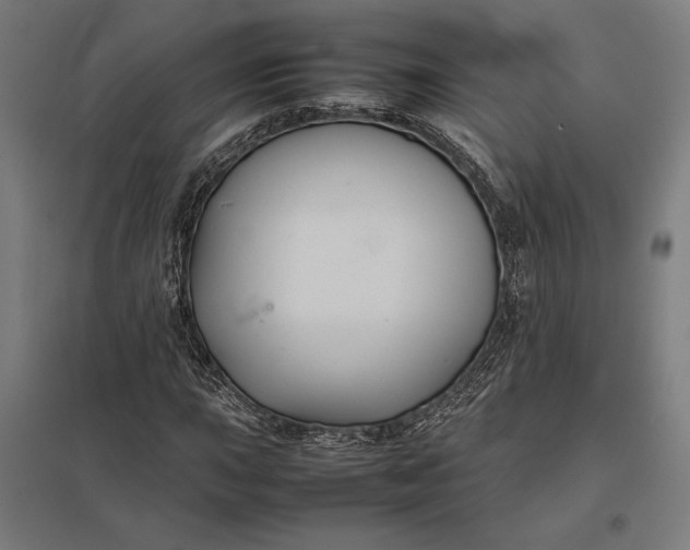 X0000097901015200803281334