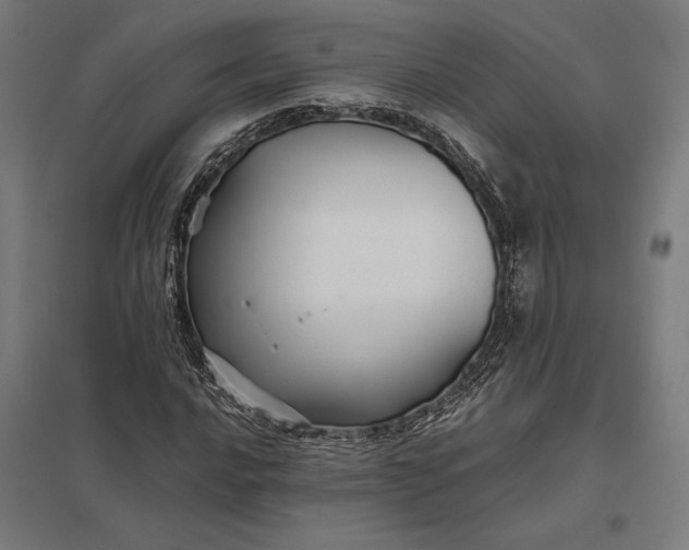 X0000097901016200803281334