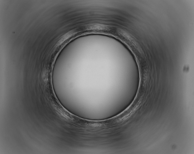 X0000097901017200803281334