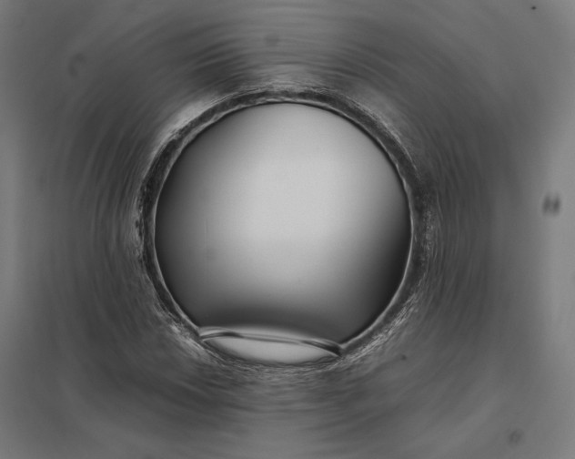 X0000097901018200803281334