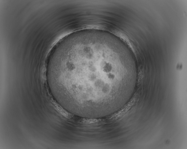 X0000097901019200803281334