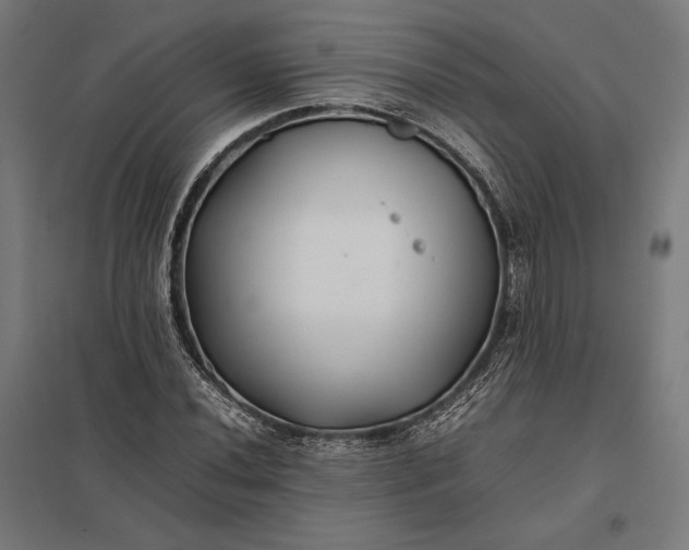 X0000097901020200803281334