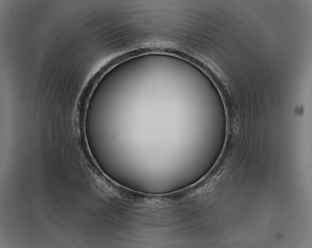 X0000097901022200803281334