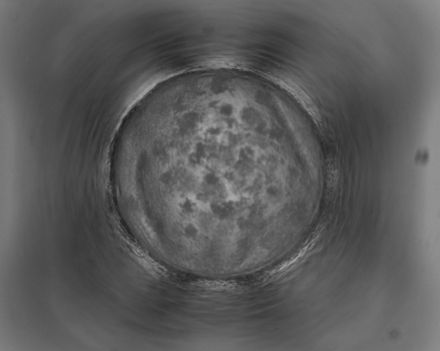 X0000097901023200803281334