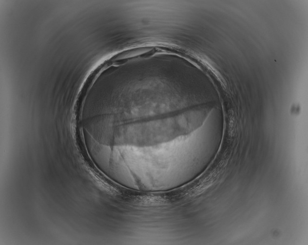 X0000097901024200803281334