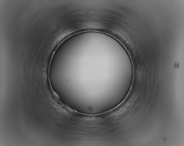 X0000097901025200803281334