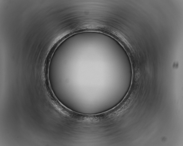 X0000097901026200803281334