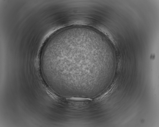 X0000097901027200803281334