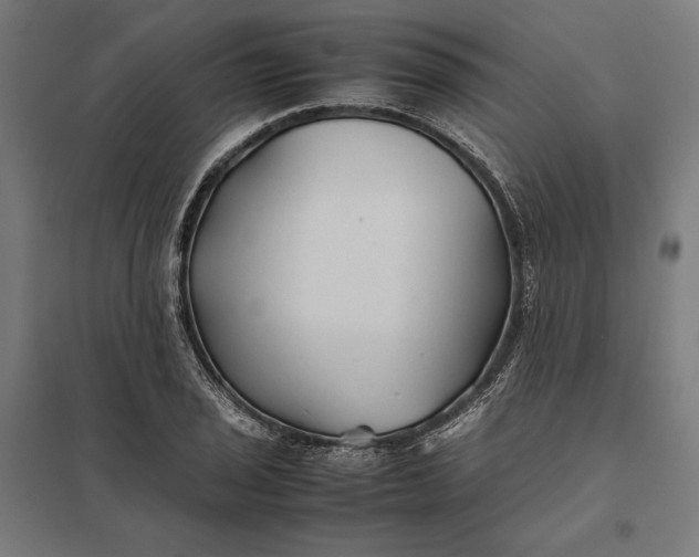 X0000097901029200803281334