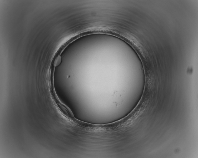 X0000097901030200803281335