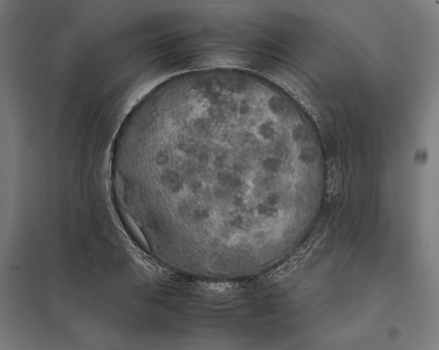 X0000097901031200803281335