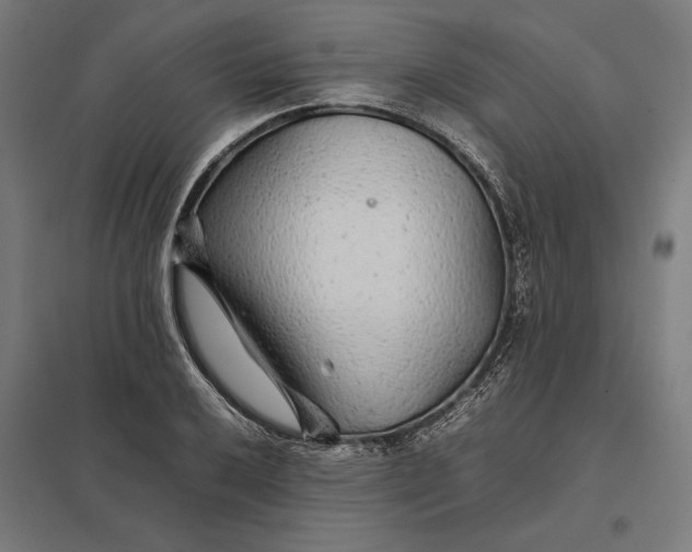 X0000097901032200803281335