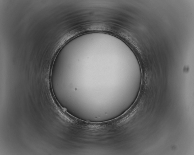 X0000097901033200803281335