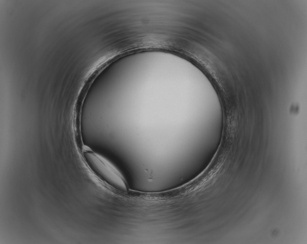 X0000097901034200803281335