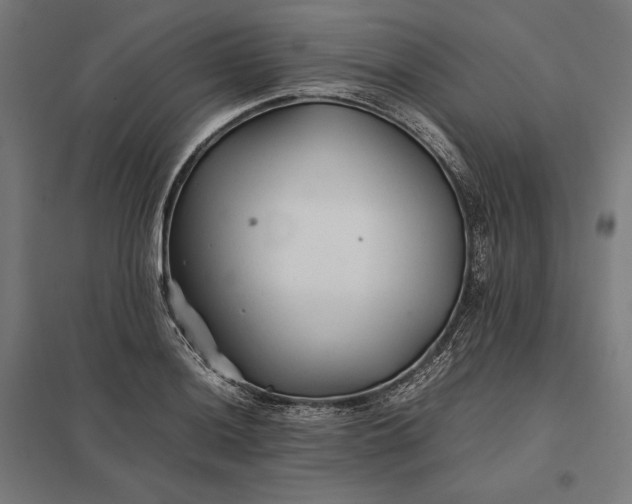 X0000097901036200803281335