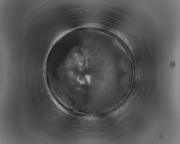 X0000097901037200803281335