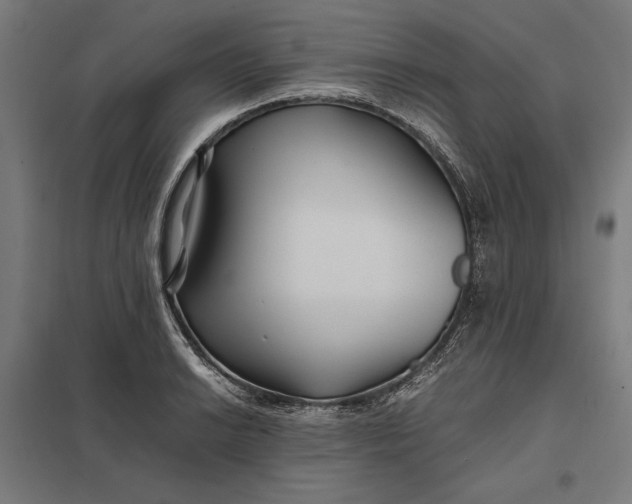 X0000097901038200803281335