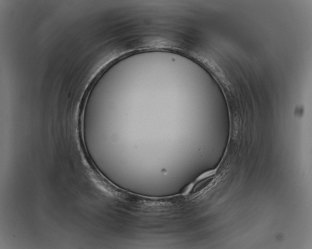 X0000097901039200803281335