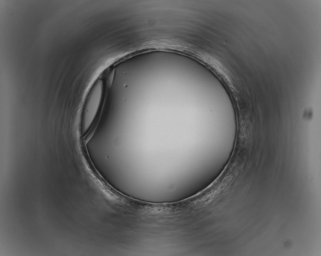 X0000097901040200803281335