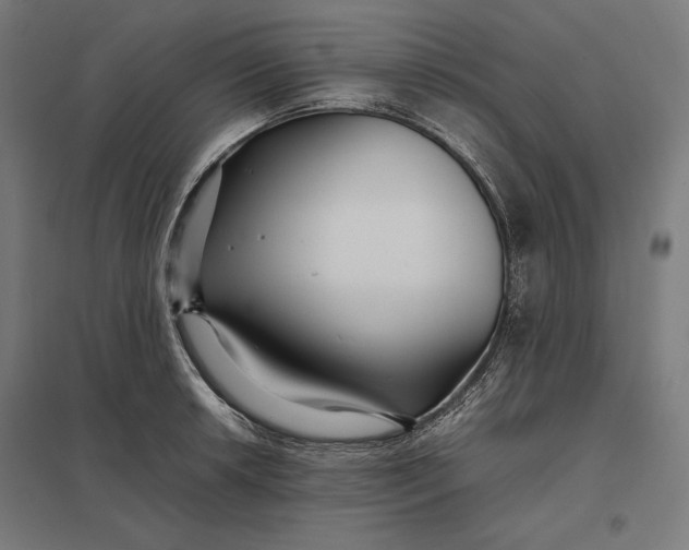 X0000097901042200803281335