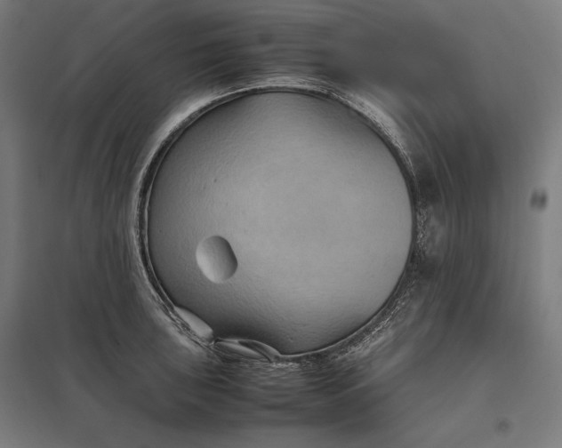 X0000097901043200803281335